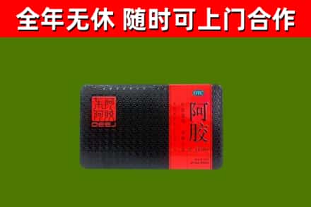 阿拉善回收阿胶